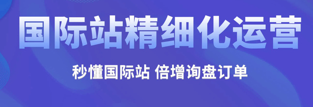 阿里國際站代運營